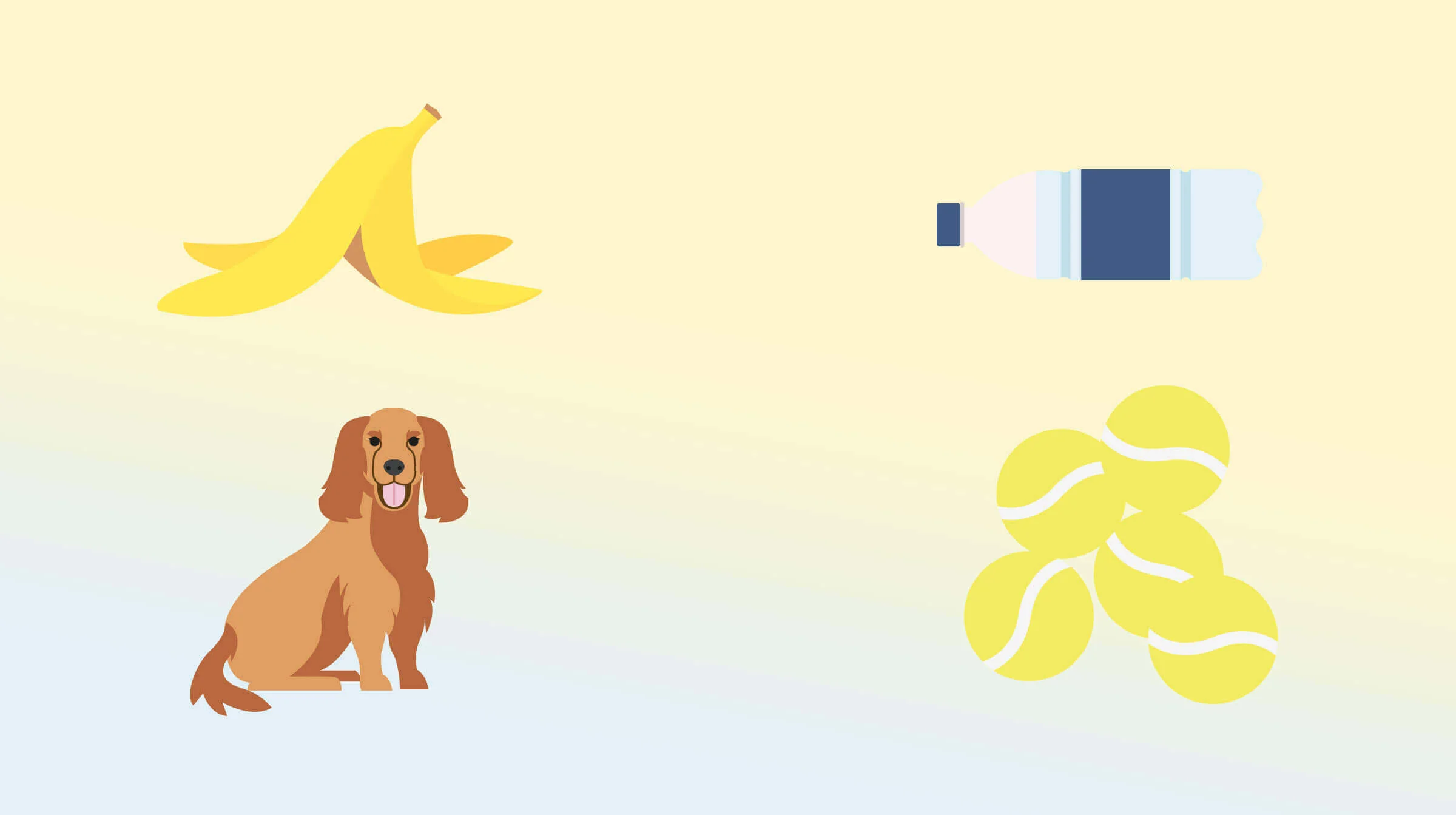From top left to right: graphic of a banana, water bottle on its side, dog, tennis balls