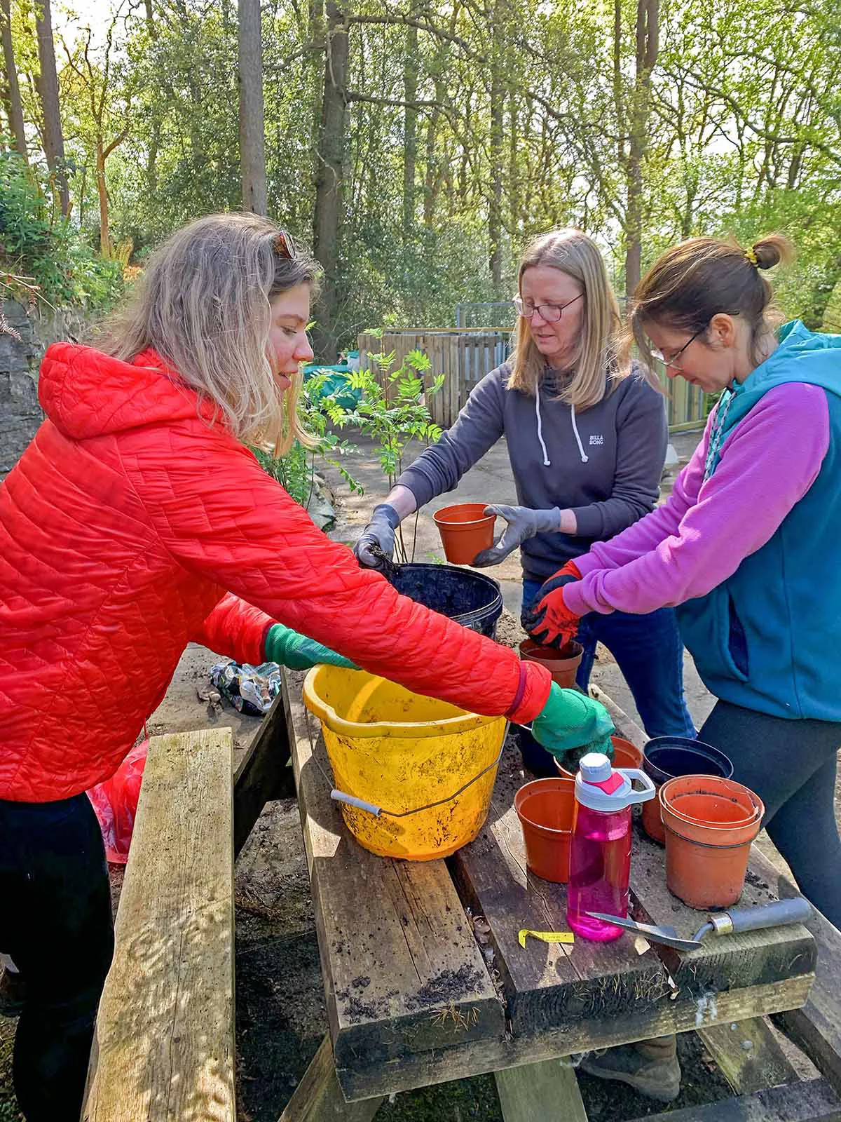 Digital Wonderlab team planting trees
