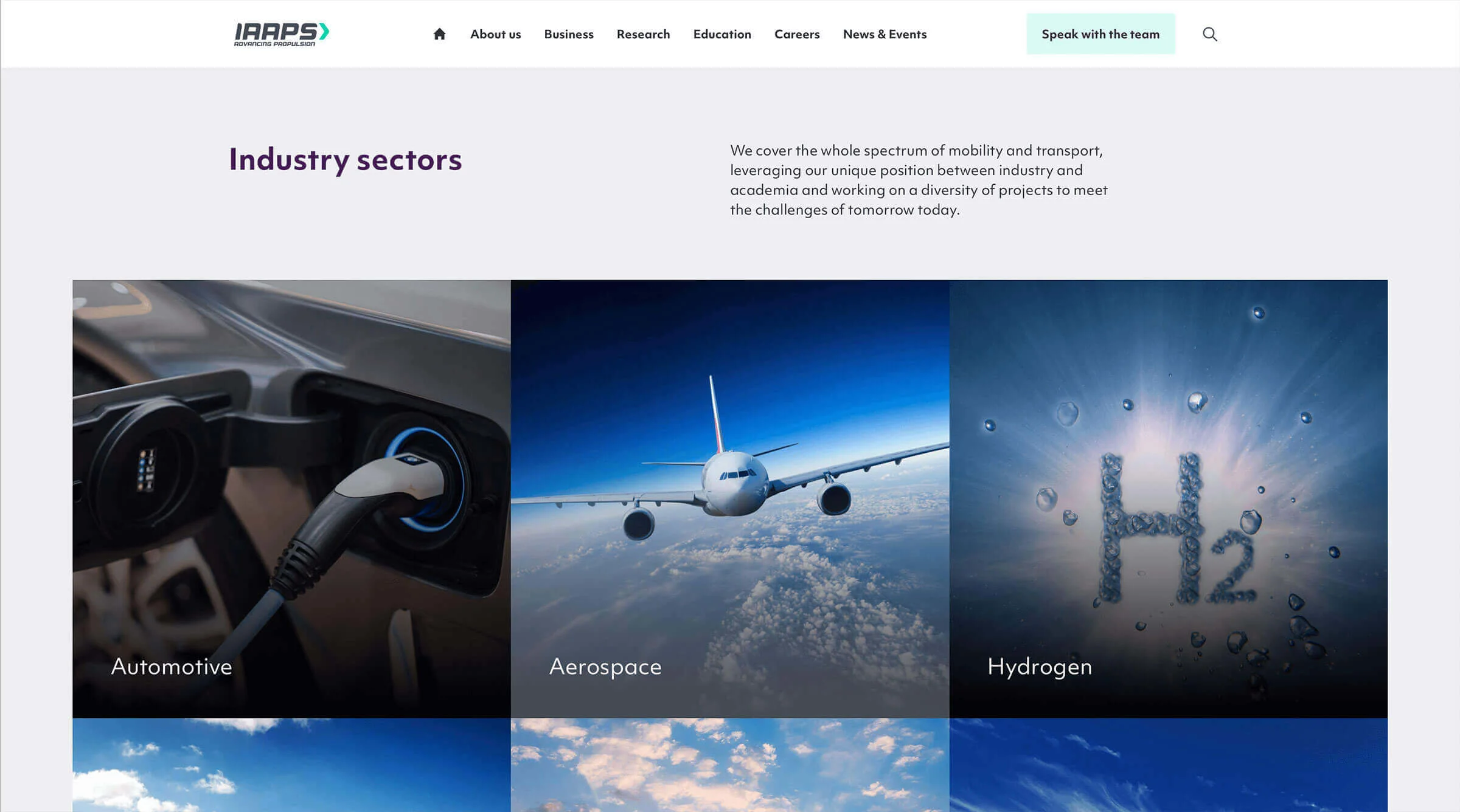 Images of the IAAPS website showing the sectors section